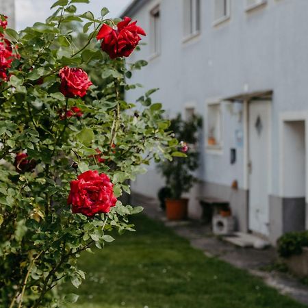 Ferienwohnung Morgensonne Schützen am Gebirge 외부 사진